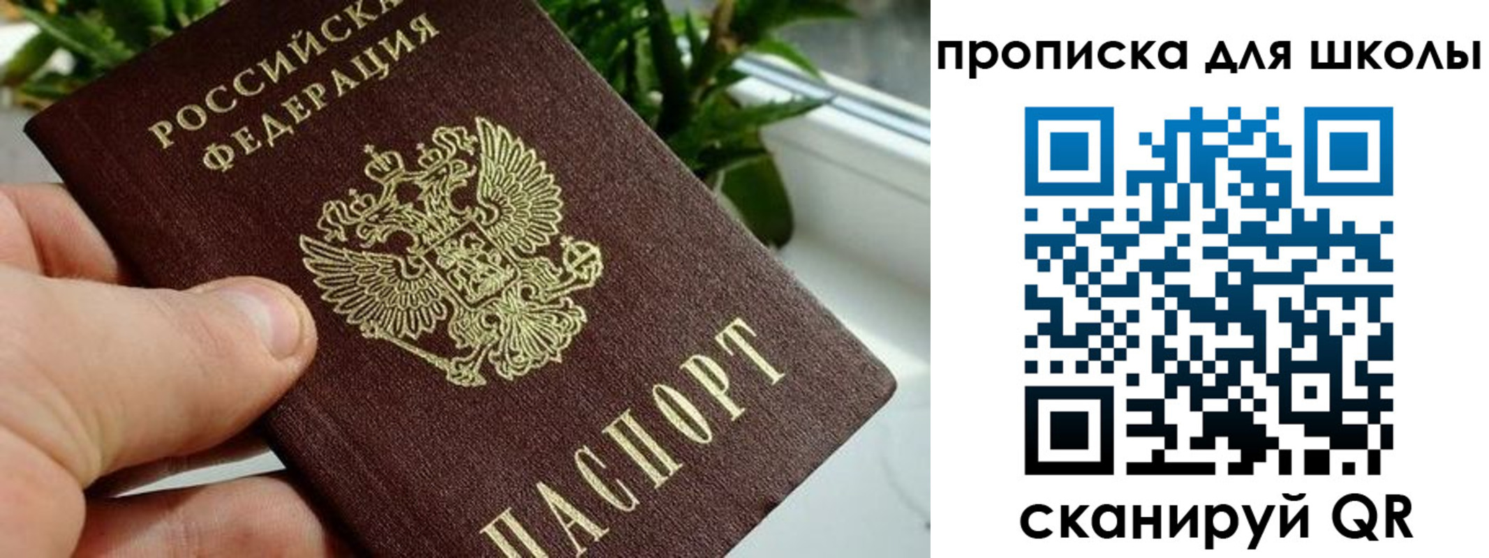 регистрация для дет. сада в Камышине